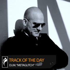 Track of the Day: D.I.M. "MetaGlitch"