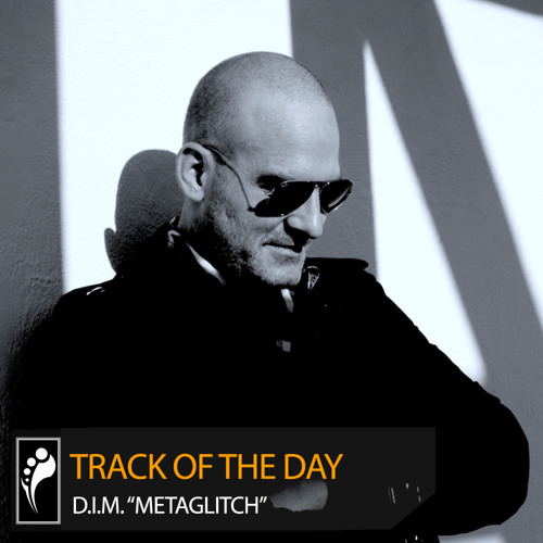 Track of the Day: D.I.M. "MetaGlitch"