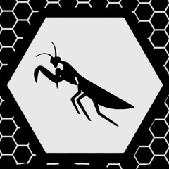 ADRIANO DANZZIANI - EL ONCE - CREDENS CLIP Vol. 11