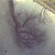 Artwork for coldblood