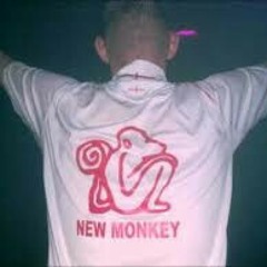 NEW MONKEY MC ROCKIN @ LYRIC @ STOMPIN  VID 6