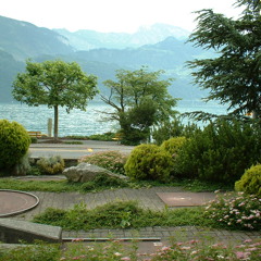 The Curious Case of 3000239