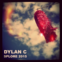 Dylan C - Splore (21st February 2015)
