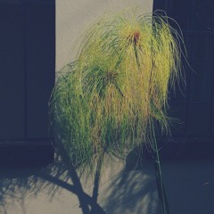 Origami Sound Podcast #4: Herne's mix for Vice