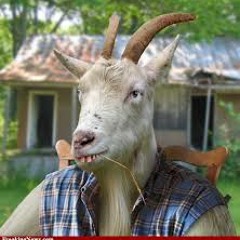Funk Yur Kru - Bombaclarke
