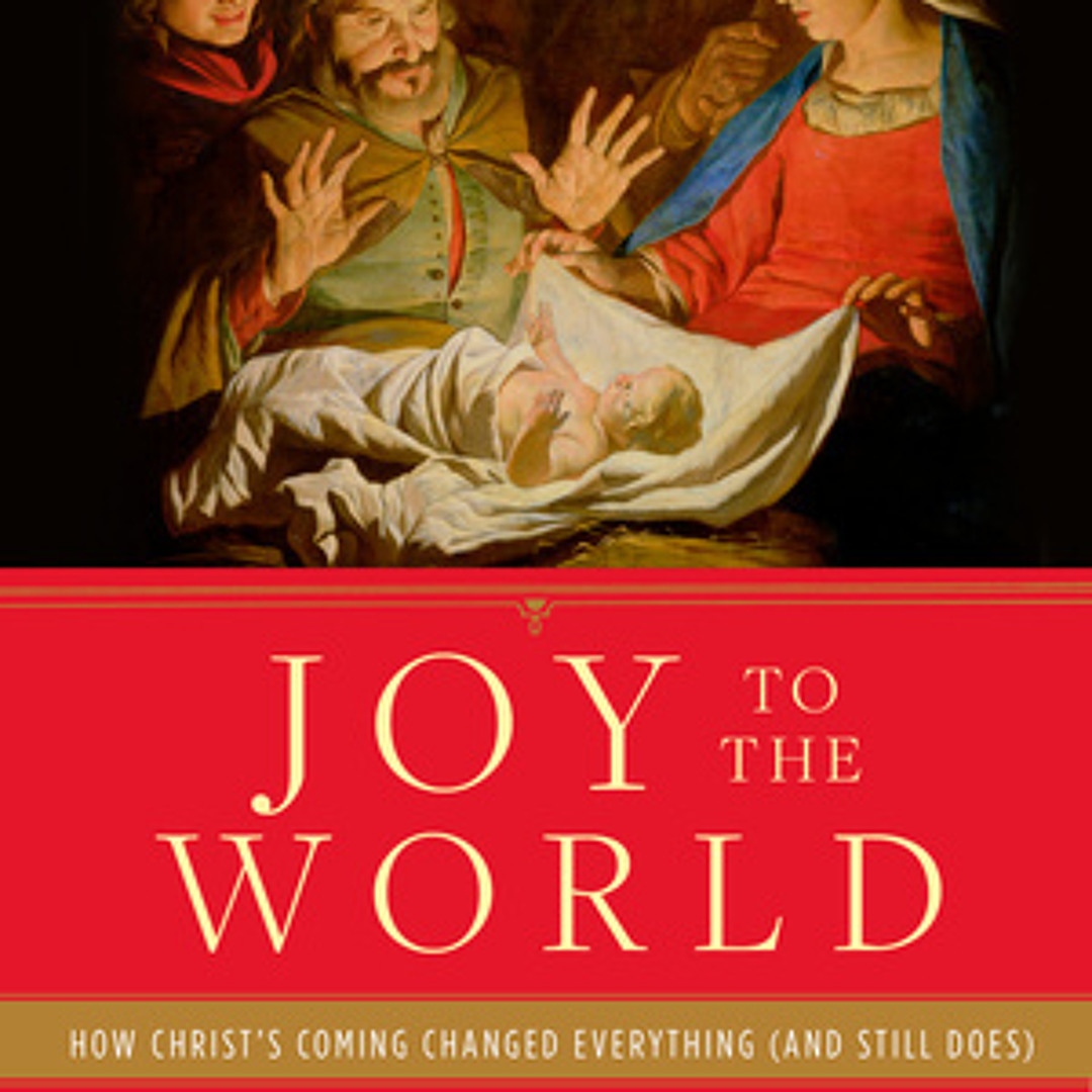 artworks-000108119082-7dh388-