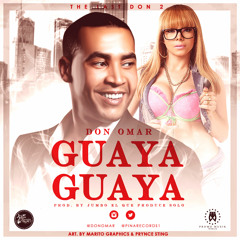 • GUAYA GUAYA - DON OMAR - •Dj R10 • - MIX 2015 •