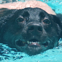 Happy Birthday Talya