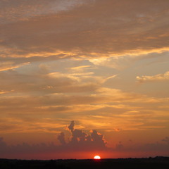 Driftless Suite for Woodwind Quintet Mov. I-V