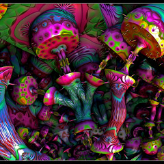 That Funky Fungus (mushroom trip from the mushrooms point of view...its just weird)