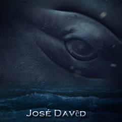 Blue Sei • Royalty Free