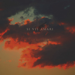 J.Wilson - Si Vis Amari...