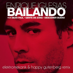 Enrique Iglesias - Bailando (Elektromekanik & Happy Gutenberg Remix)