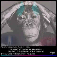 FREE // Ilium + Feel The Pressure + Remember (Thomas Feelman Mashup) // Support by Deniz Koyu