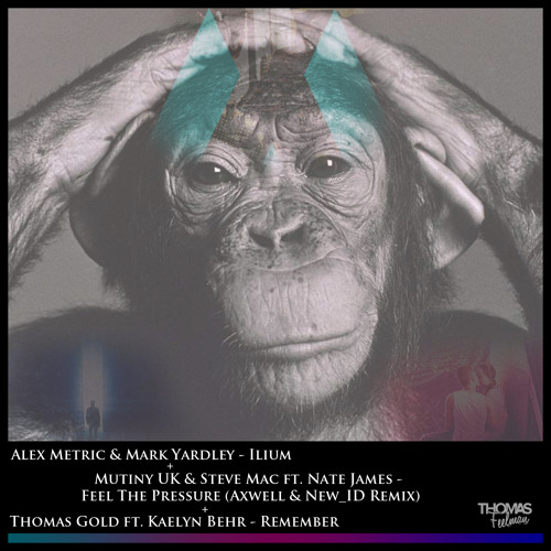 FREE // Ilium + Feel The Pressure + Remember (Thomas Feelman Mashup) // Support by Deniz Koyu