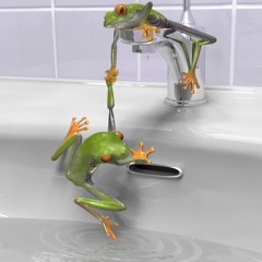 FROGS HAVING A BATH