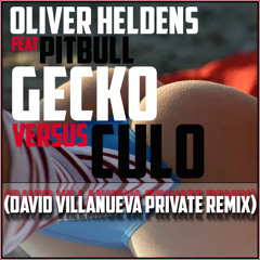 Oliver Heldens Ft. Pitbull - Gecko + Culo (David Villanueva Private) [FREE DOWNLOAD]