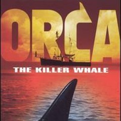 ORCA Tribute Ennio Morricone