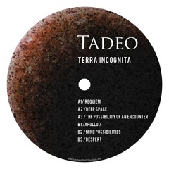 TOKEN51 - Tadeo - Terra Incognita