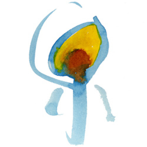 Lavender (Nujabes Tribute)