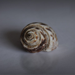 没什么大不了 Nothing Matters