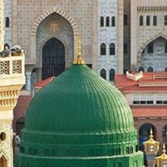 الشيخ عبدالرحمن - مولد سيدنا الحسين 2015