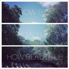 How Big How Blue(Instrumental)