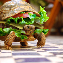 OddChy & ScratchWave - Turtle Sandwitch (preview)
