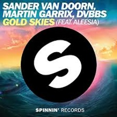 Sander van Doorn, & Mastiksoul - Gold Skies of  Fire ( Dihousen Mashup ) Free dowload !!!