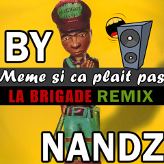 Meme si ca plait pas (Remix La Brigade) preview