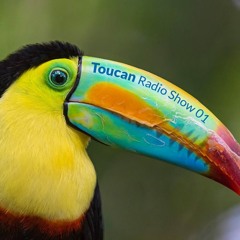 Toucan Radio Show 01