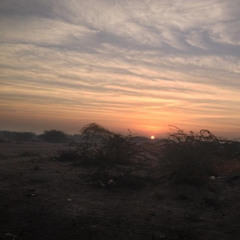 Arabian Peninsula by Sleeping Camel