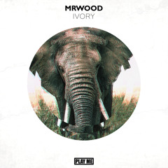 mrWood - Ivory ft. Your Noise (Original Mix) [Free Download]