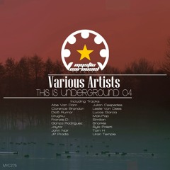 Julian Cespedes - Teur (Original Mix) // coming soon (Mystic Carousel Record)