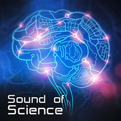 Quantum Zero - Sound of Science
