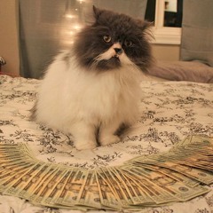 Alesso- Heros Vs. ZHU- Faded (Dzeko & Torres Rmx) TFC MashUp