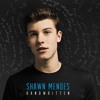 Download Lagu Shawn Mendes - Stitches dan Lirik