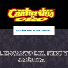 POR SIEMPRE TE AMARE - CANTARITOS DE ORO