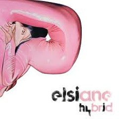 Elsiane-Hybrid