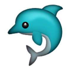 Dolphin Phase
