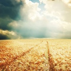 Jaazabella - Lead Me Home PROTECTED