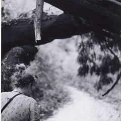 The Traveler & the Stranger