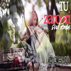 TU ZAROORI - SUD Remix Demo