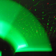 BassPulsing Mars.MP3