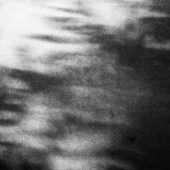 Wound