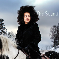The Sound