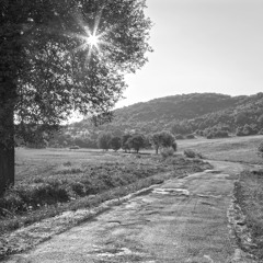 Concrete Playground IX Old Roads