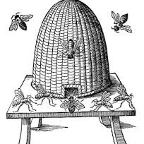 Djupast I Världen SNSN