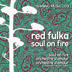 Orchestre D'Amour (Kareem Raihani Remix)