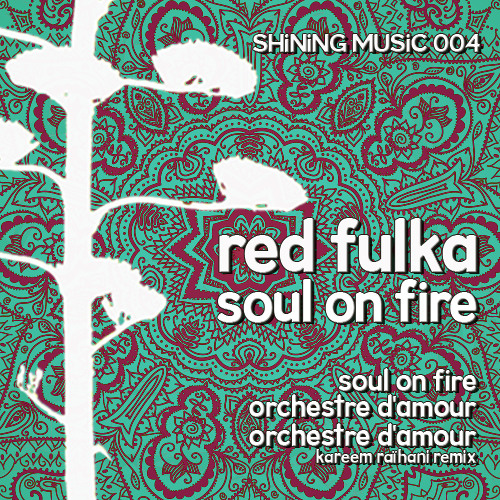 Orchestre D'Amour (Kareem Raihani Remix)